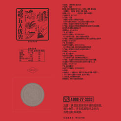 Two delicious  rou zongzi from wufangzhai 200 g