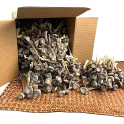 HMT Lu Rong Gu Dried Mushroom 450g 1 each