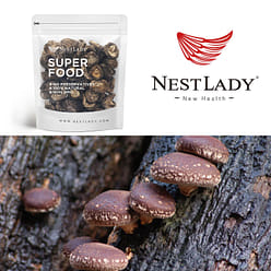 NESTLADY 건조향기 버섯 1 개입