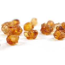 NESTLADY Natural Wild Peach Gum Edible Peach Blossom Tears Tao Jiao 1 count