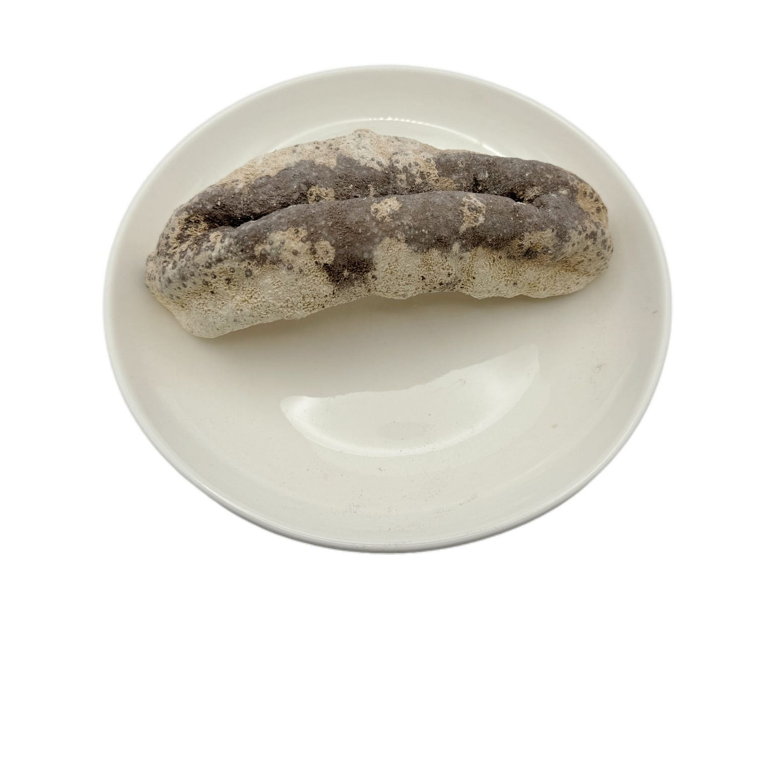 Fiji Dried Sea Cucumber (approx. 0.6 - 0.7lb) 1 อัน