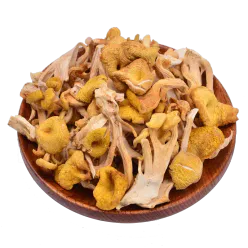 [Delicacy from Changbai mountain]Northeast elm yellow mushroom 250 g