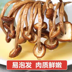 Furuta tea tree mushroom farmhouse new shiitake mushroom dried goods specialty mushroom cordyceps hair weight soup net weight 100g *1 bag 100 g