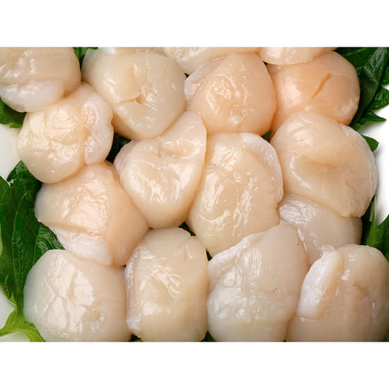 weee_seafood_Hokkaido Hotate (Sashimi Quality) 1kg 1 each