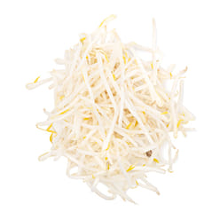 Mung Bean Sprouts 12 oz