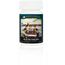 Five Ancestors Teapills Wu Zi Yan Zong Wan 1 each