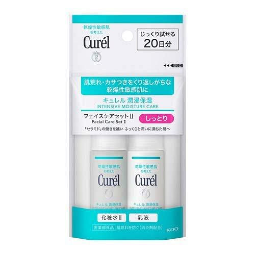 KAO CUREL Facial Care Set Moisturizing Type 1 each