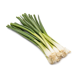Organic Green Onion 4.5 oz
