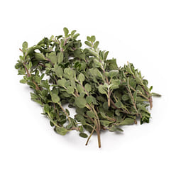 Marjoram Herb 0.75 oz