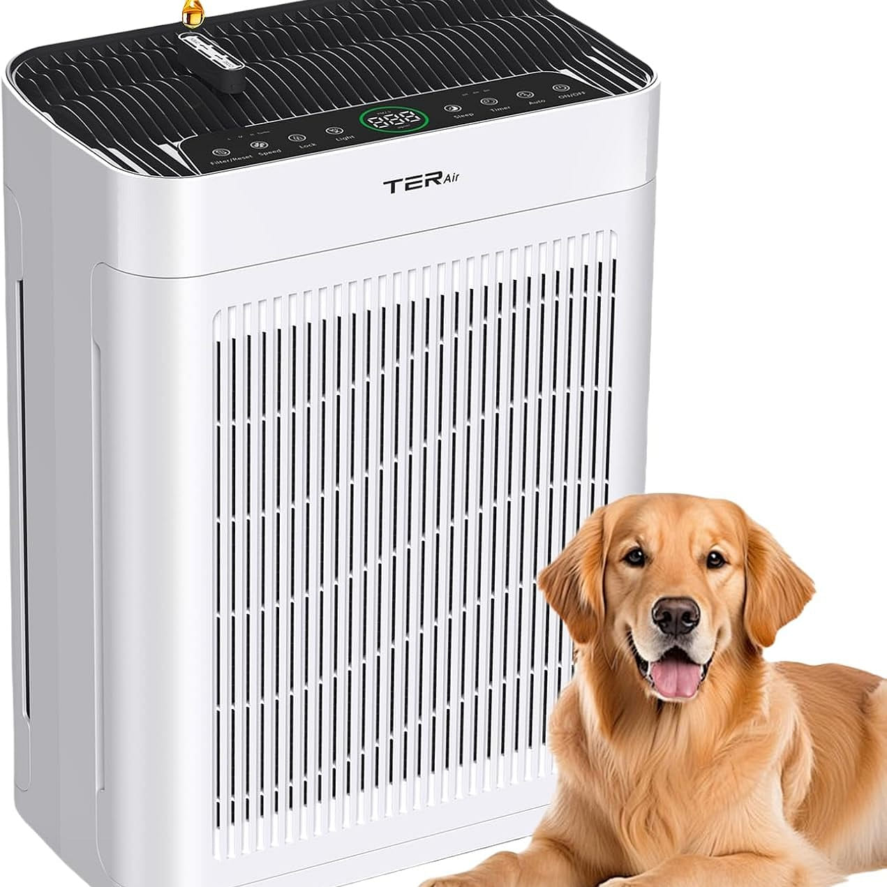 TER Air Purifier with Washable Filters (White) 1 count