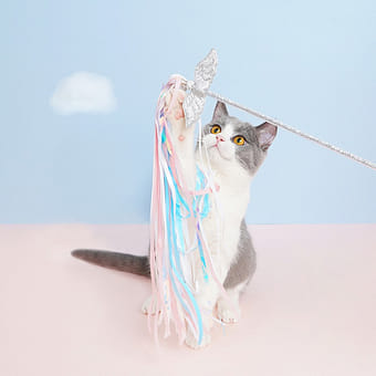 zeze藤编猫窝四季通用猫咪窝房子别墅猫咪用品- Weee!