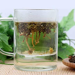 NESTLADY 내분비 조절, 신진대謝 촉진, 야생 인새화 【화차】 30 그램