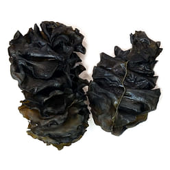 Dried Seaweed Stem - 3oz 1 each