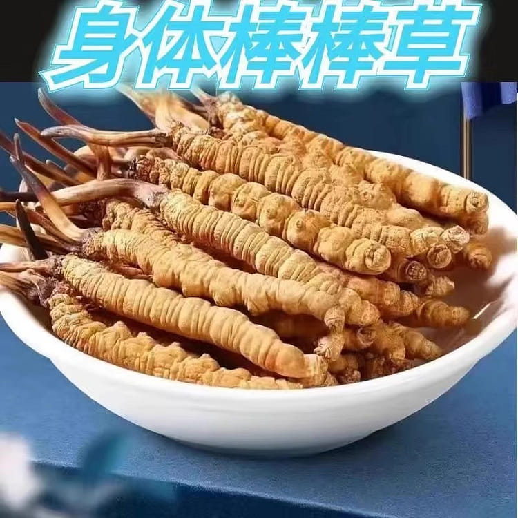 2024正宗野生冬虫夏草金选AAA级虫草3根\g 正品虫草头期干货高