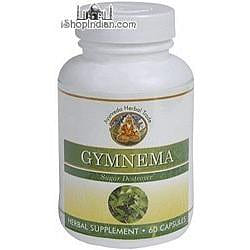 Gymnema - Sugar Destroyer (Sandhu's Ayurveda) - 60 capsules 60 カウント