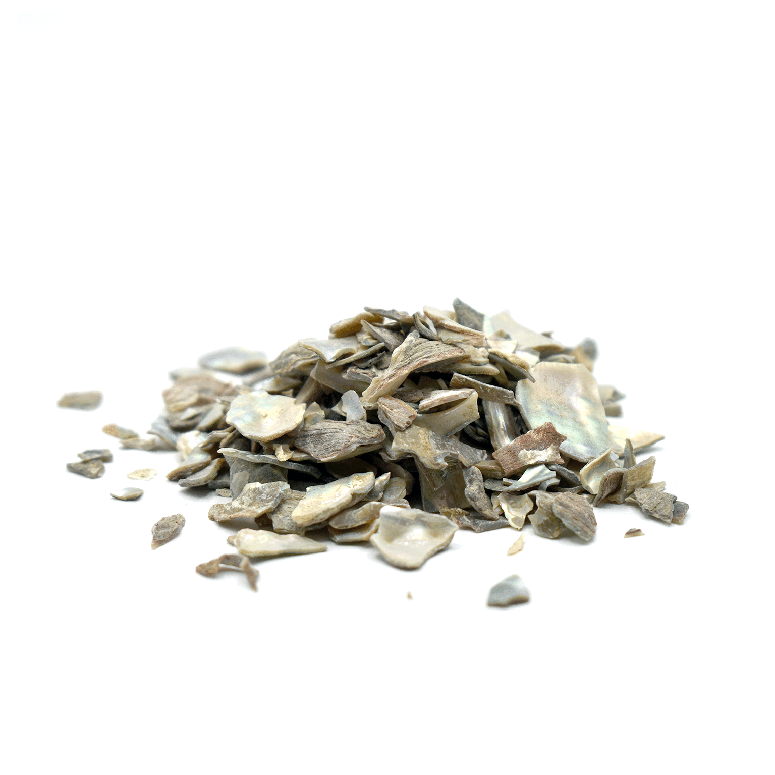 SHI JUE MING - Abalone Shell - Custom Amount 1lb (454g) 1 ส่วน