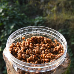 natto 250 g