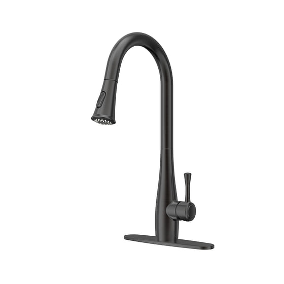 weee_grocery_Single-Handle Pull Down Sprayer Kitchen Faucet with Dual Function in Oil Rubbed 5.49 lb