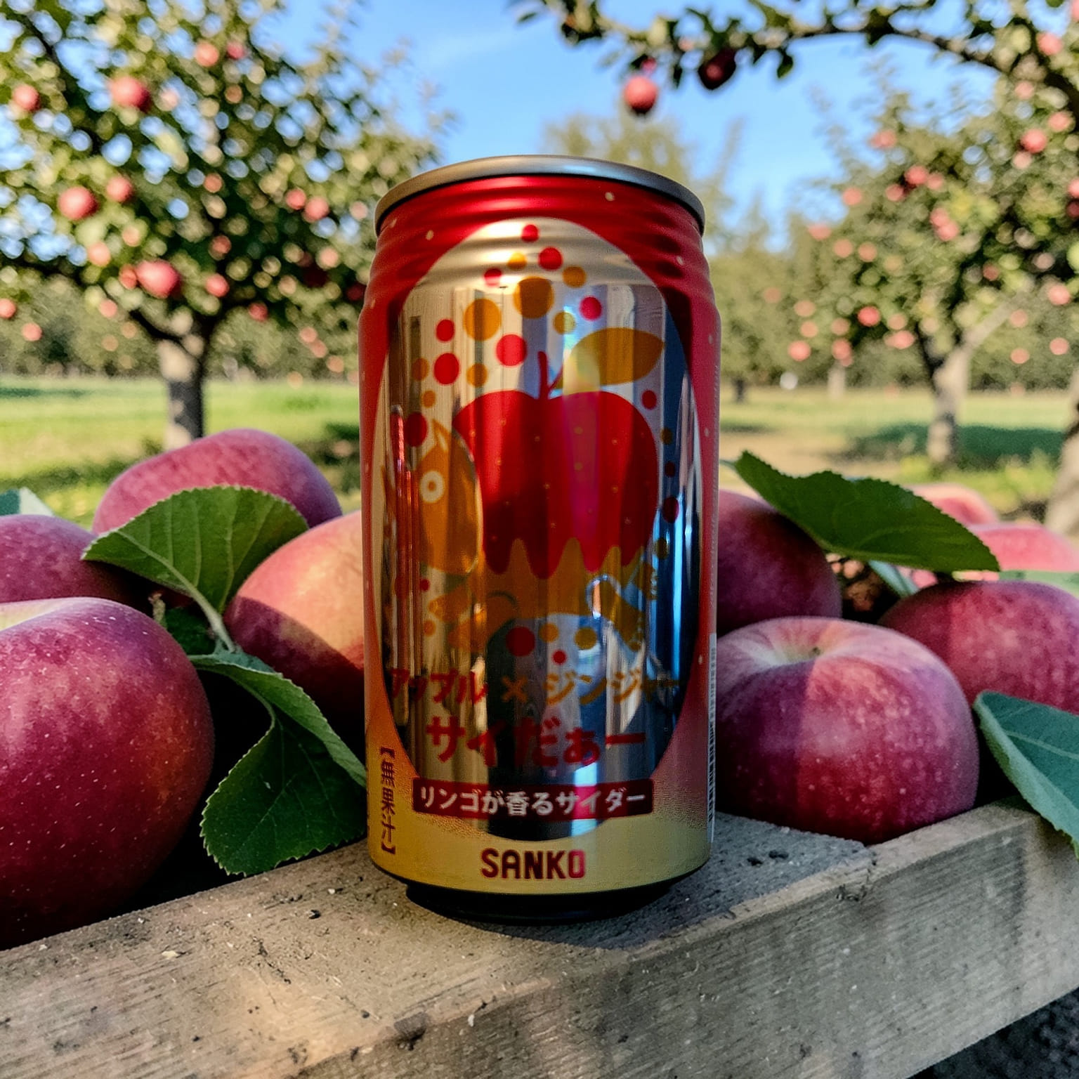 Sanko Apple Ginger Cider 11.6 fl.oz