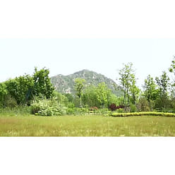 SKJ Barbecue Grill 1 each