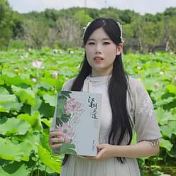 Southern Song Dynasty Hu Ji Lotus Crisp 300g 300 g