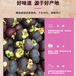 50g freeze-dried mangosteen *1 can 50 g