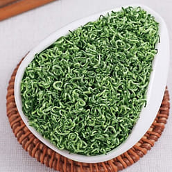 2025 New Organic Spring MaoJian Green Tea Bag 200 g