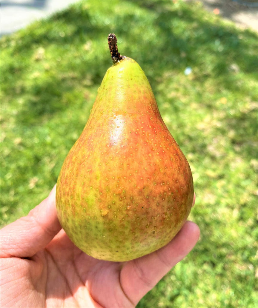 weee product zoom image