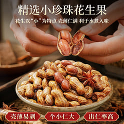 Spicy Braised Peanuts in Shell 250 g