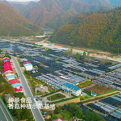 Zhongjing Spicy Shiitake Mushroom Sauce 230g*2, for Rice, Noodles, and Stir-frie 460 g