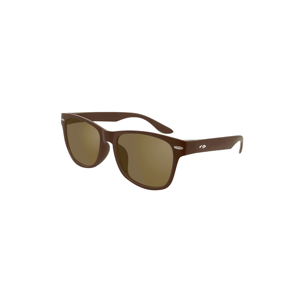 LEOTTI CAMALEO retro versatile photochromic glasses retro brown frame with brown lens 1 ส่วน
