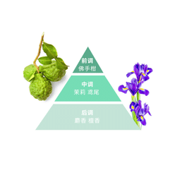 POPSKIN POP PODS Long-lasting Fragrance Portable Solid Perfume Green Jasmine Garden 10g 1 