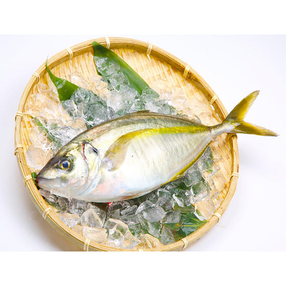 weee_seafood_Shima Aji 3 lb