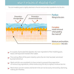 LINDSAY Modeling Rubber Mask 28g - Cool Tea Tree 1 each