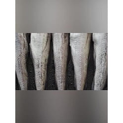 Mr. Beaver Grilled Cod Fillet Dried 45g*2 bags of instant low-fat snacks 90 g