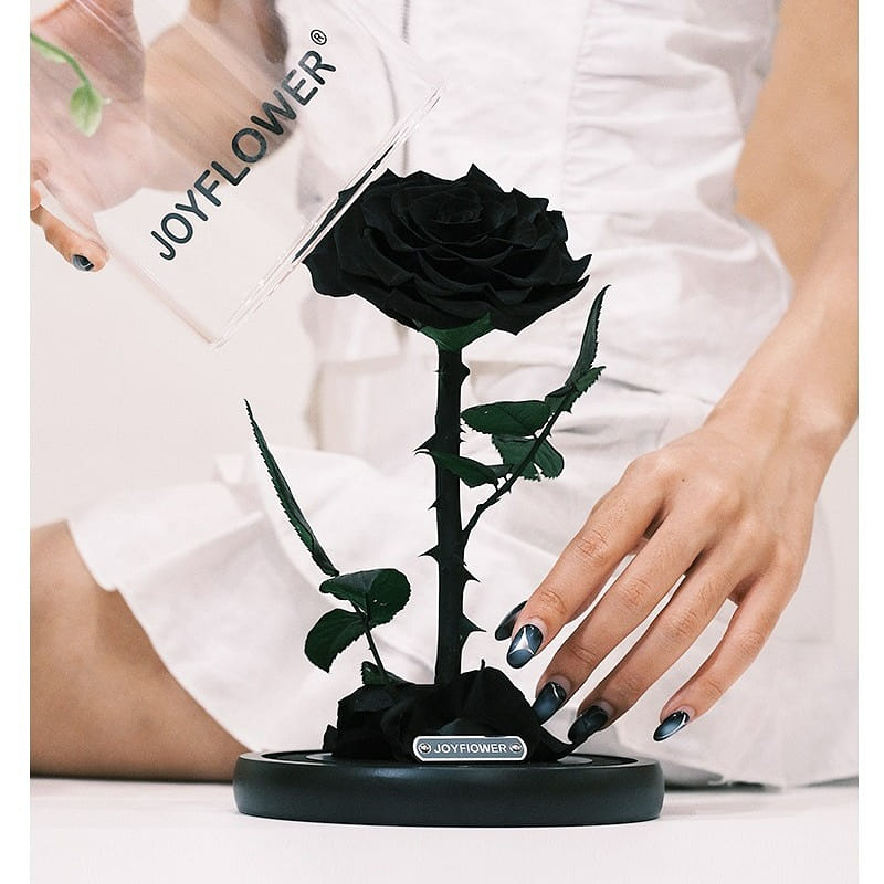 JOY FLOWER Gift box of dried black roses - BIG SIZE 1 กล่อง
