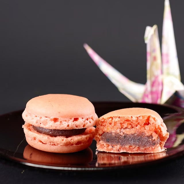 Japanese Macaron Amazake 1 case