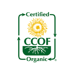 McCabe Organic Sun-Dried Zucchini, 100g, USDA Certified Organic, CCOF Organic 100 g