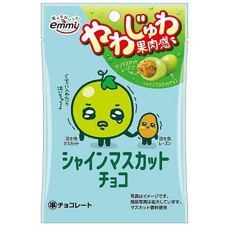 Shouei Shine Muscat Chocolate 30g 1 each
