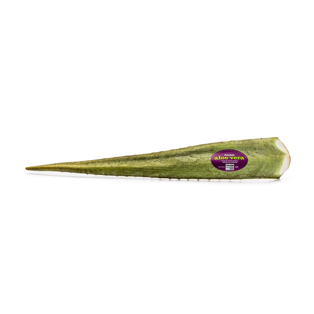 Aloe Vera 1 each