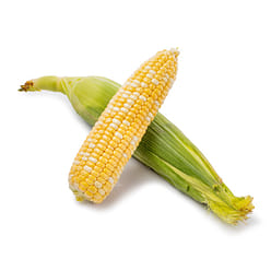 Bi-Color Corn 1 count