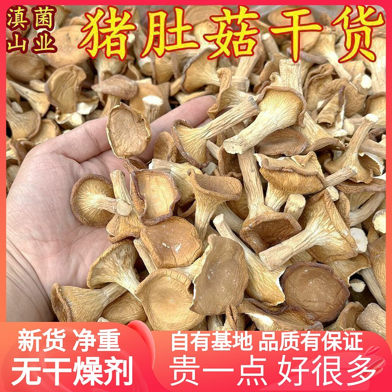 Dried pig stomach mushrooms 100g * 1 bag 100 그램