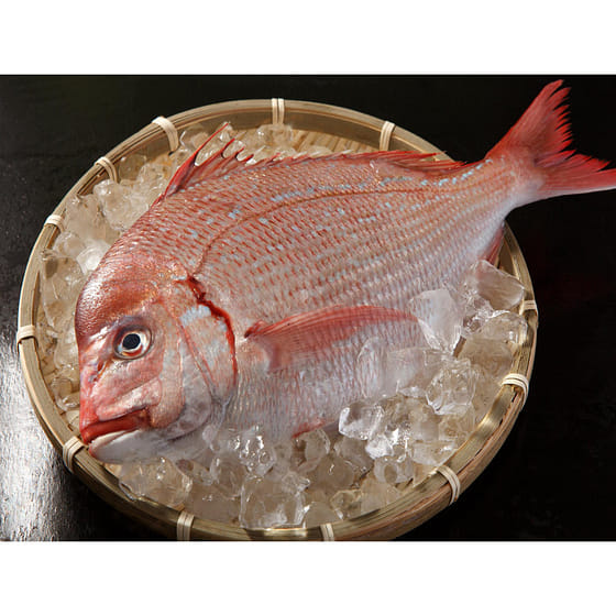 weee_seafood_Madai 2.25 lb