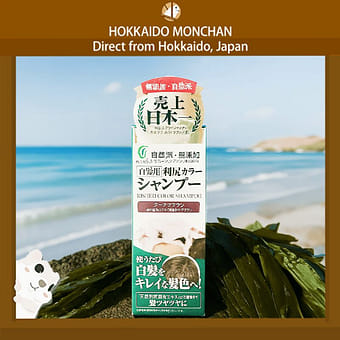 LeTAO OTARU Rue IRONAI Fromage Cheese Cookies 9pcs 1 each - Weee!