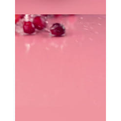 Baicaowei Dried Cranberries 100g Dried Fruit 100 g