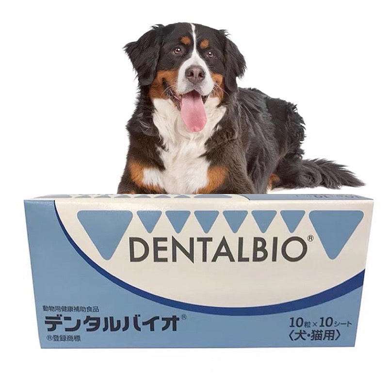 Riken Dentalbio 5mg 100 개입
