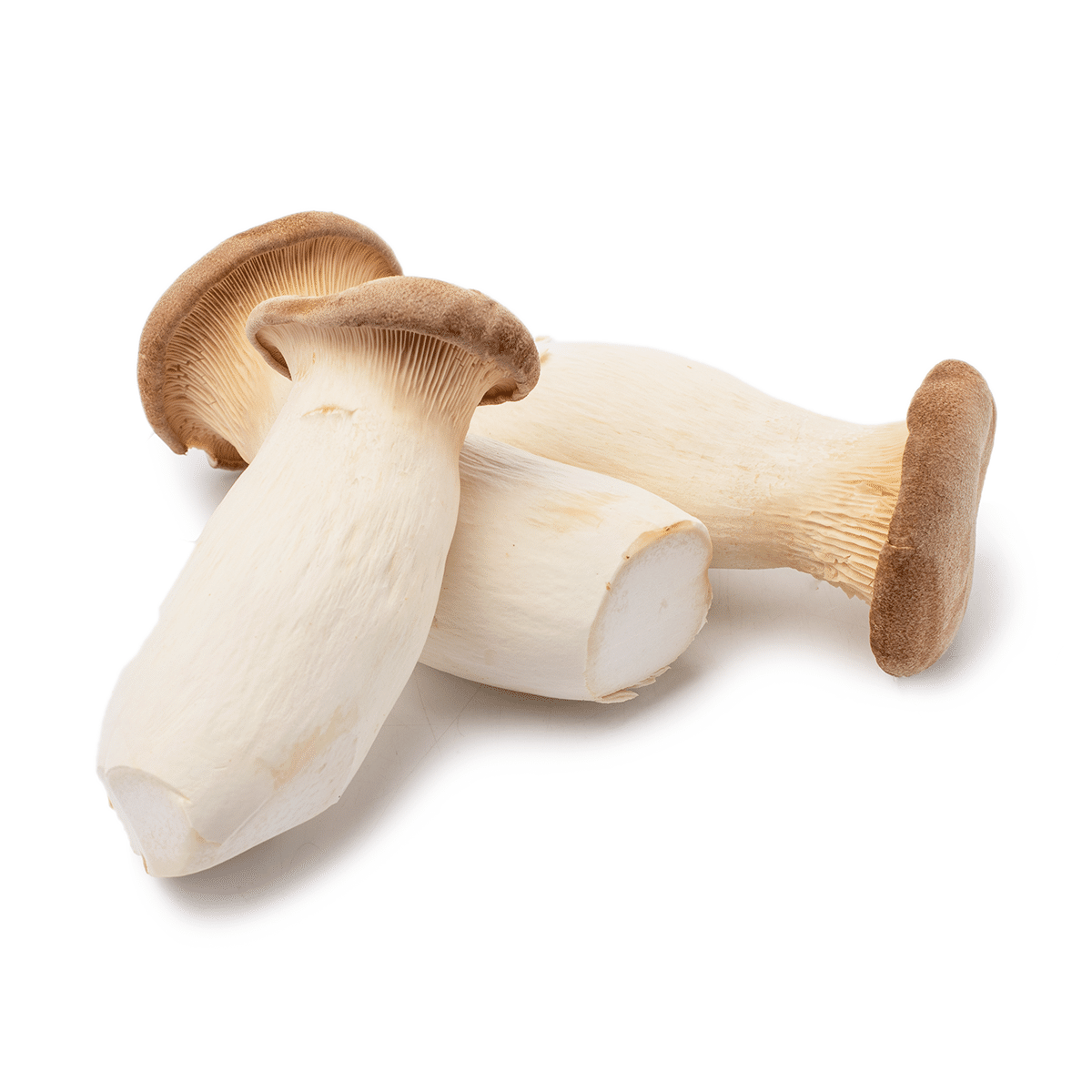 Korean King Oyster Mushrooms 300 g
