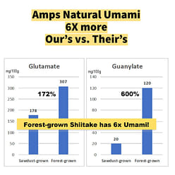 Organic Forest-grown Japanese Shiitake Powder 40g 40 g