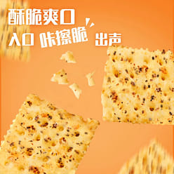 [Yanjinpuzi ]Black Truffle Ham Soda Biscuit 500 g