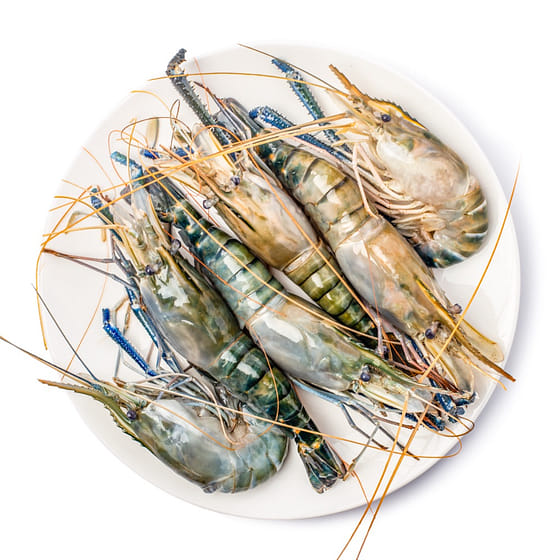 weee_seafood_2025 New Season Fresh Water Head On Shrimp (Prawn) 2-4pc/lb 2 lb